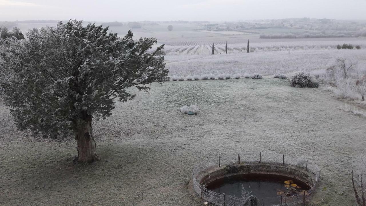 Le Dojo Du Plessis Bed & Breakfast Mareuil  Eksteriør bilde